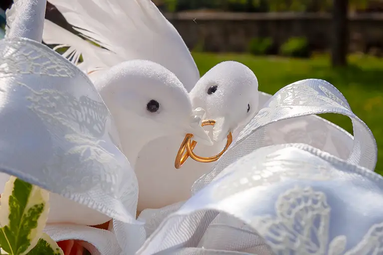 Zwei Tauben mit Eheringen - Hochzeitsschmuck auf dem Hochzeitsauto